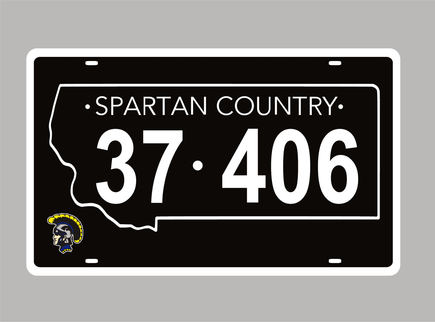 Car Decal 4
