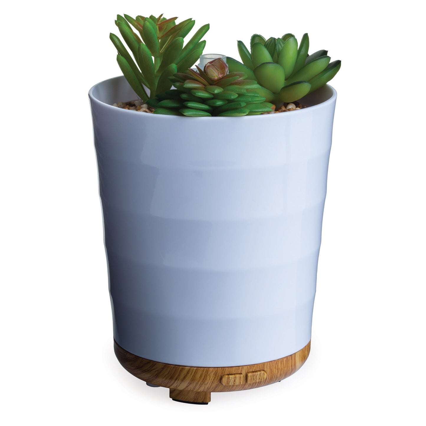 Ultrasonic Essential Oil Diffuser Potted Succulent